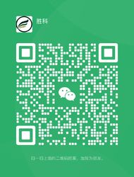 웨이 채팅